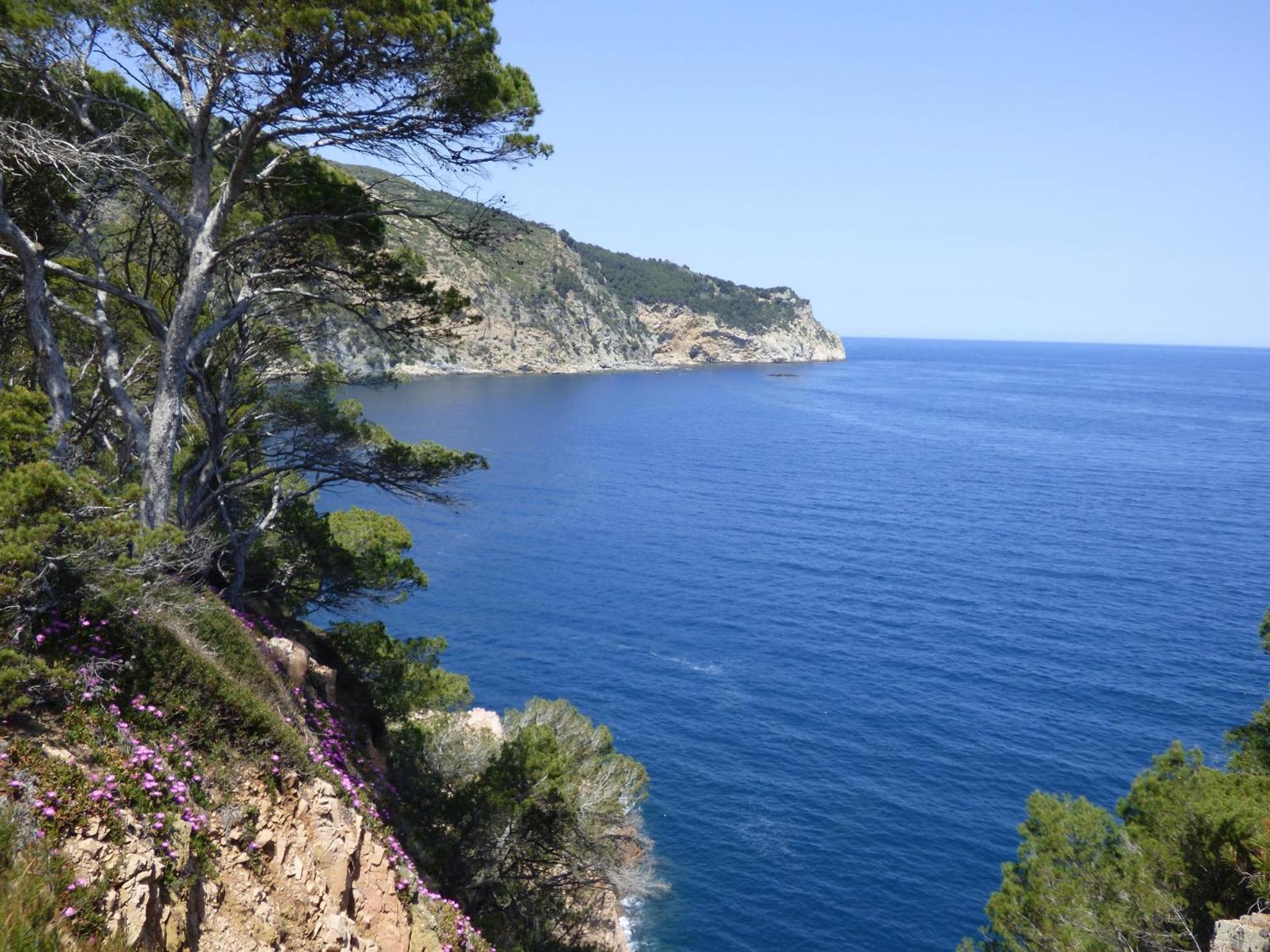 "La Terrasse De La Mer 8" -Climatisation-Wifi-Bbq -Piscine-Parking Begur Eksteriør billede