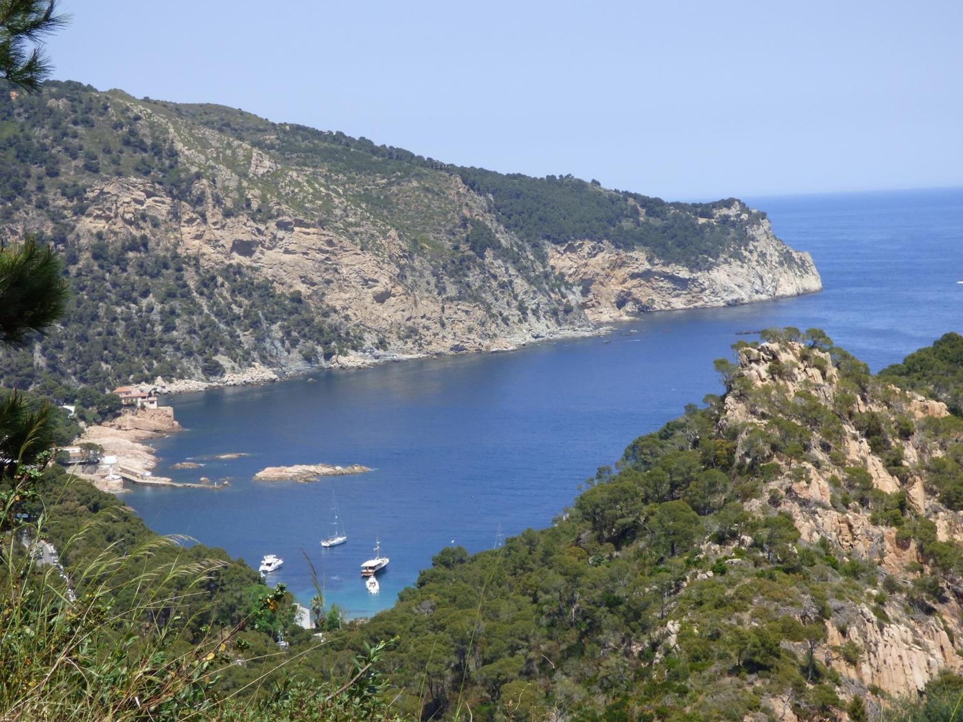 "La Terrasse De La Mer 8" -Climatisation-Wifi-Bbq -Piscine-Parking Begur Eksteriør billede